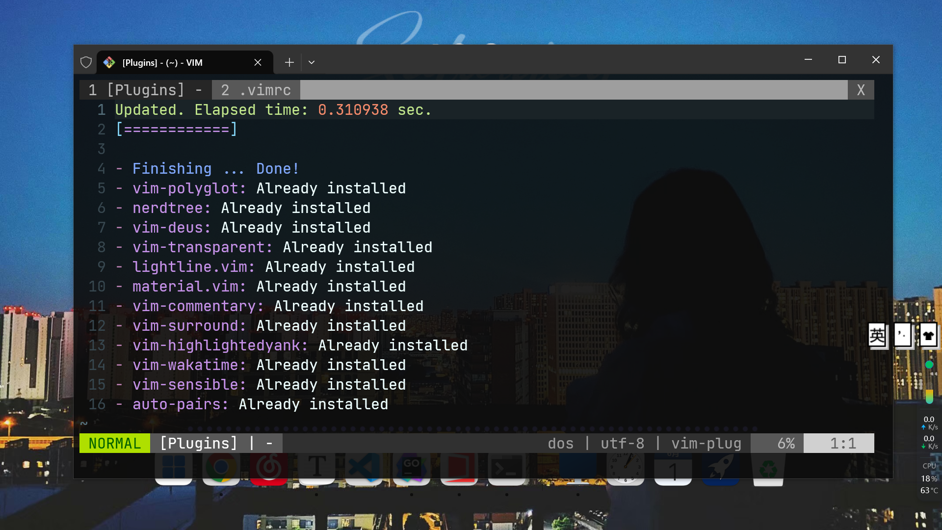 :PlugInstall